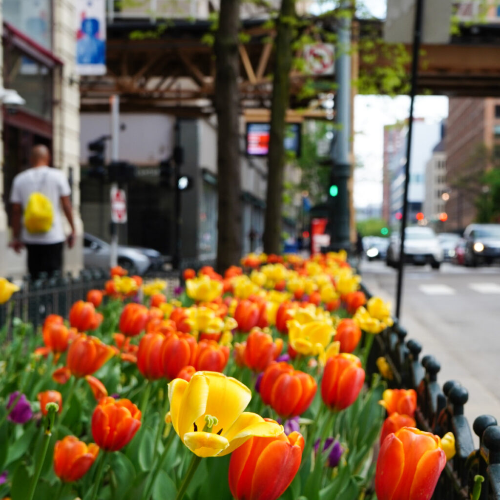 Spring activity in the Loop brightened by weekend pedestrians, major events