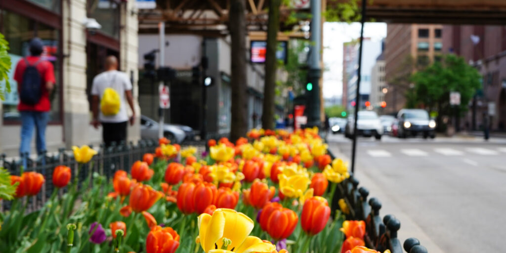 Spring activity in the Loop brightened by weekend pedestrians, major events
