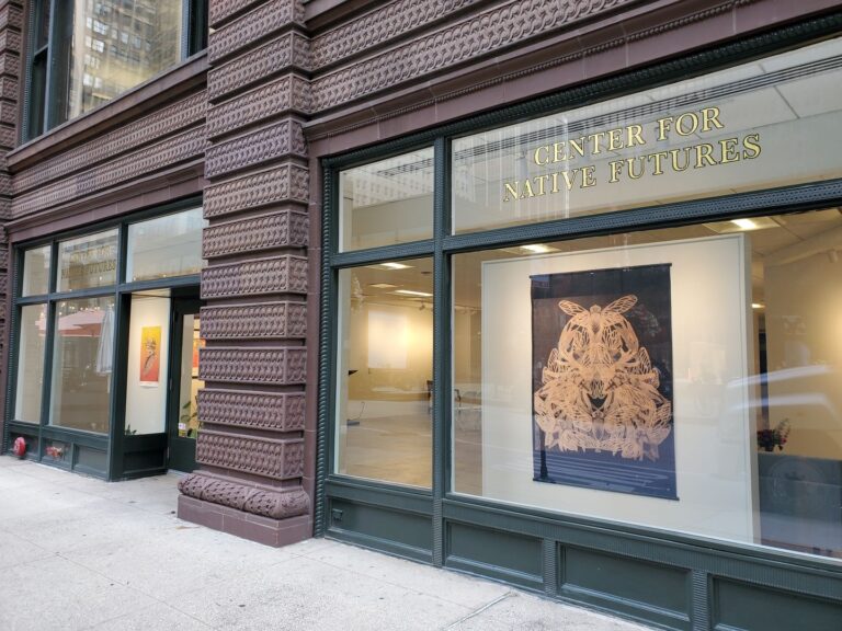 Center for Native Futures